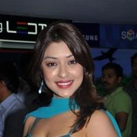 Payal Gosh Hot Gallery | Picture 93168